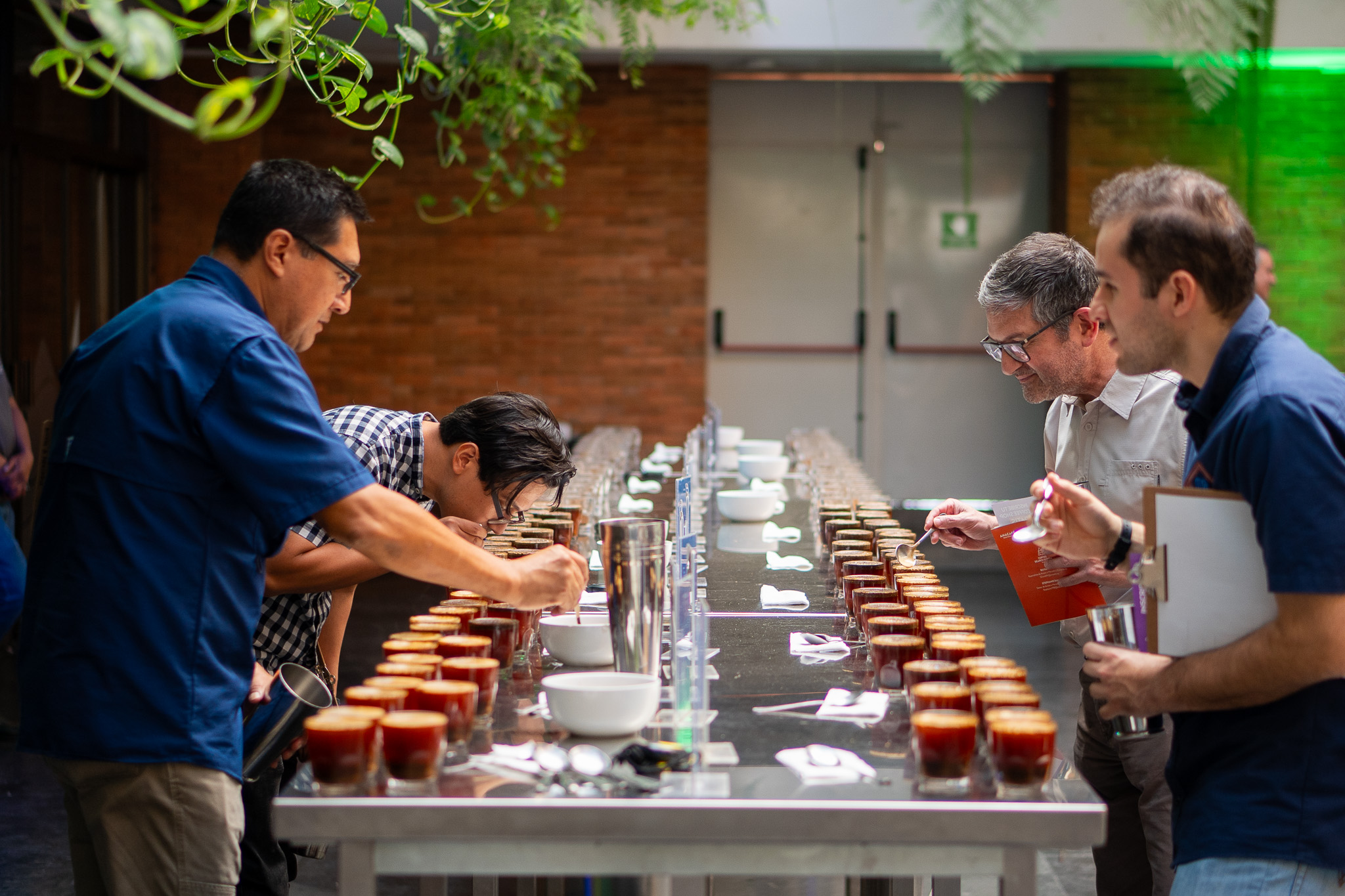 Comunidad cafetalera en Alta Verapaz