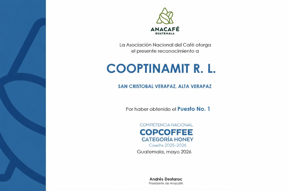 Diploma o certificado oficial